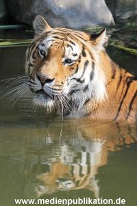 Hagenbeck 23072014 015