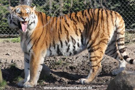 Hagenbeck 24032015 010