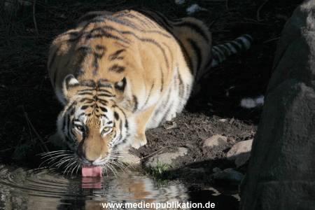 Hagenbeck 24032015 012