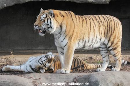 Hagenbeck 24032015 021