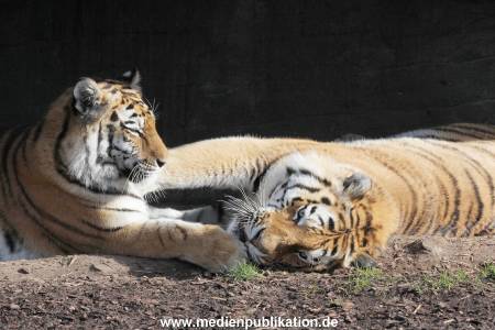 Hagenbeck 24032015 034