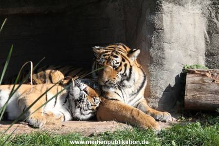 Hagenbeck 26092016 015