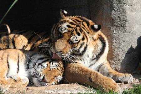 Hagenbeck 26092016 030