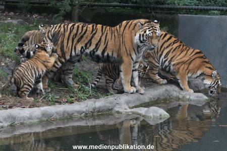 Hagenbeck 26102017 042