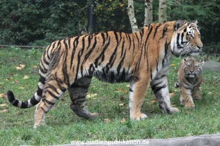 Hagenbeck 26102017 054