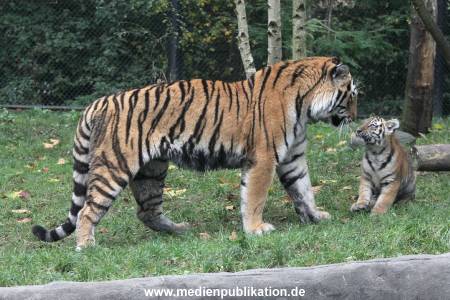 Hagenbeck 26102017 055