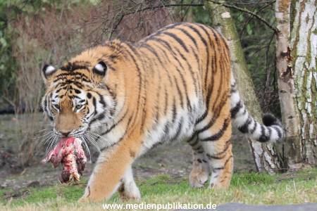 Hagenbeck 28022014 003