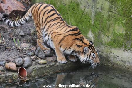 Hagenbeck 28022014 018