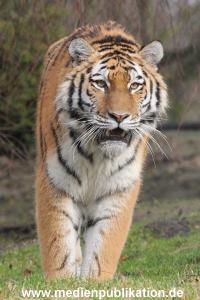 Hagenbeck 28022014 020