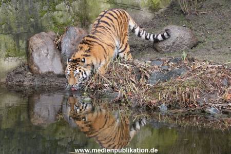 Hagenbeck 28022014 025
