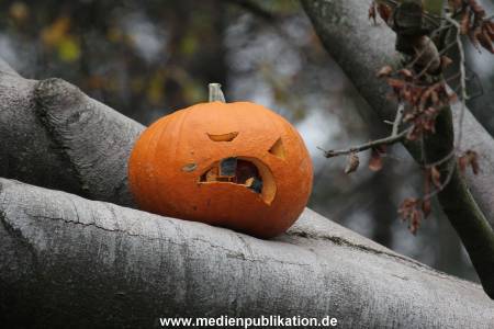 Hagenbeck 29102014 003