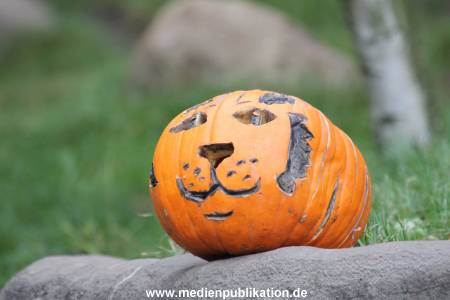 Hagenbeck 29102014 004