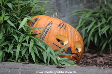 Hagenbeck 29102014 005