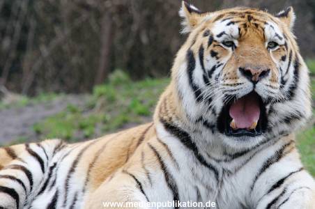 hagenbeck 19032005 027