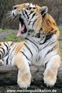 hagenbeck 19032005 028