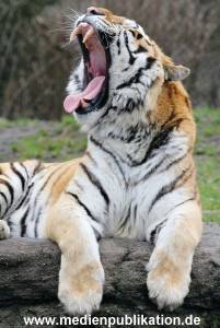 hagenbeck 19032005 030