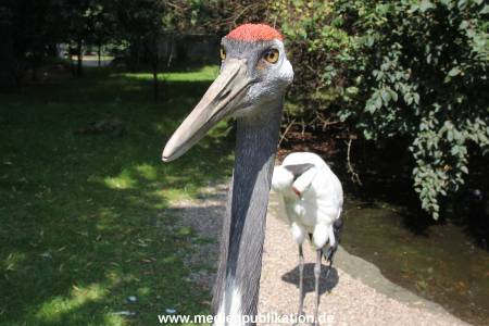 Hagenbeck 23072014 009