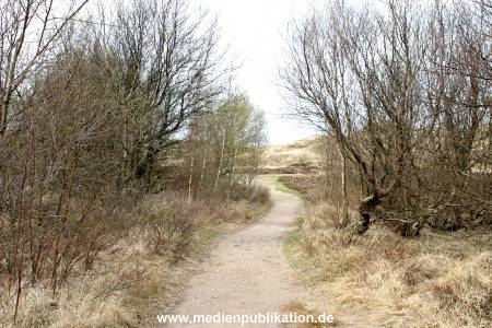 amrum 04 04 divers 021