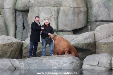 Hagenbeck26032013 005