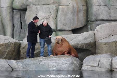 Hagenbeck26032013 009