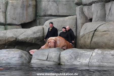 Hagenbeck26032013 036