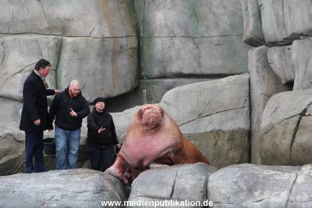Hagenbeck26032013 038