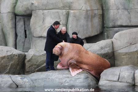 Hagenbeck26032013 040