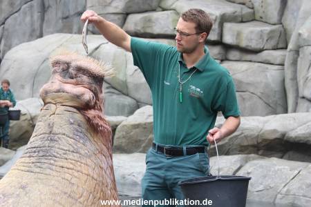 Hagenbeck Inventur 16052013 041