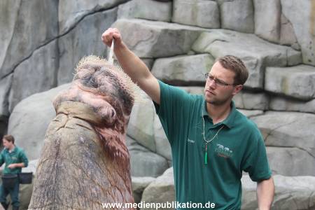 Hagenbeck Inventur 16052013 043