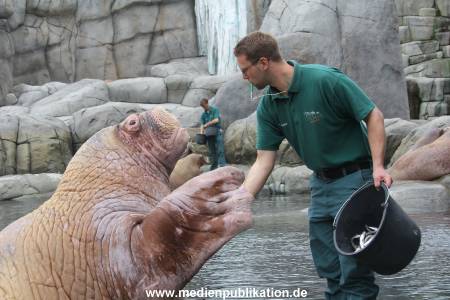 Hagenbeck Inventur 16052013 044