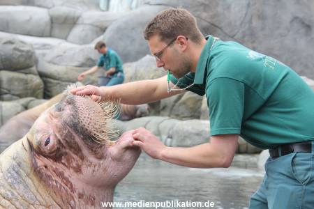Hagenbeck Inventur 16052013 046
