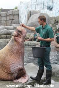 Hagenbeck Inventur 16052013 057