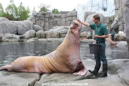 Hagenbeck Inventur 16052013 059