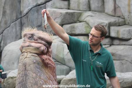 Hagenbeck Inventur 16052013 075