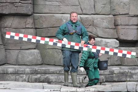 Hagenbeck Inevntur 07052015 005
