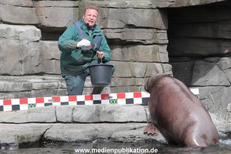 Hagenbeck Inevntur 07052015 006