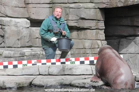 Hagenbeck Inevntur 07052015 007