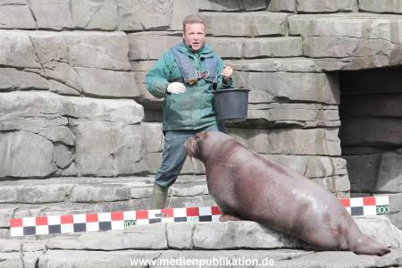 Hagenbeck Inevntur 07052015 008
