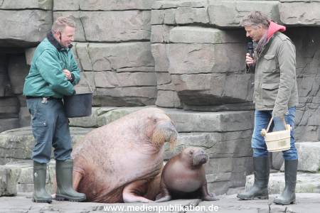 Hagenbeck Pilawa 13102015 002