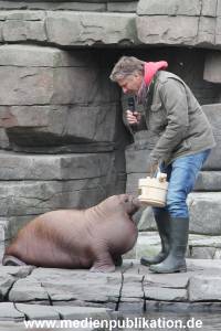 Hagenbeck Pilawa 13102015 005