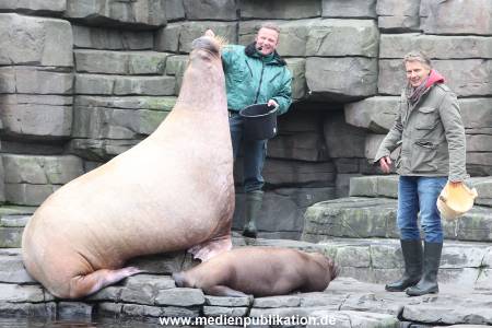 Hagenbeck Pilawa 13102015 016