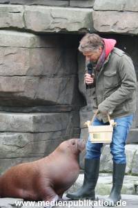 Hagenbeck Pilawa 13102015 028