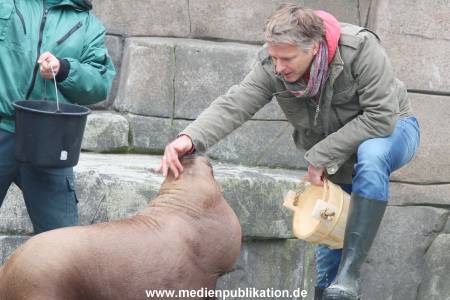 Hagenbeck Pilawa 13102015 047
