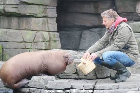 Hagenbeck Pilawa 13102015 052