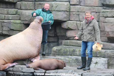 Hagenbeck Pilawa 13102015 070