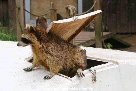 Zoo Solingen 062014 001