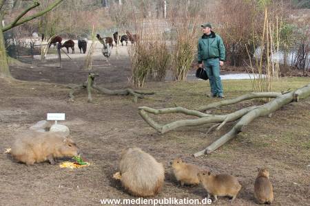 Hagenbeck 04032011 013