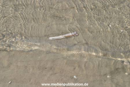 amrum 04 04 divers 004