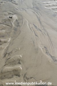 amrum 04 04 divers 006