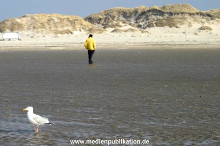 amrum 04 04 divers 007